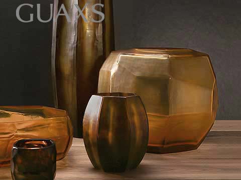 GUAXS Vasen