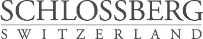 Schlossberg Logo